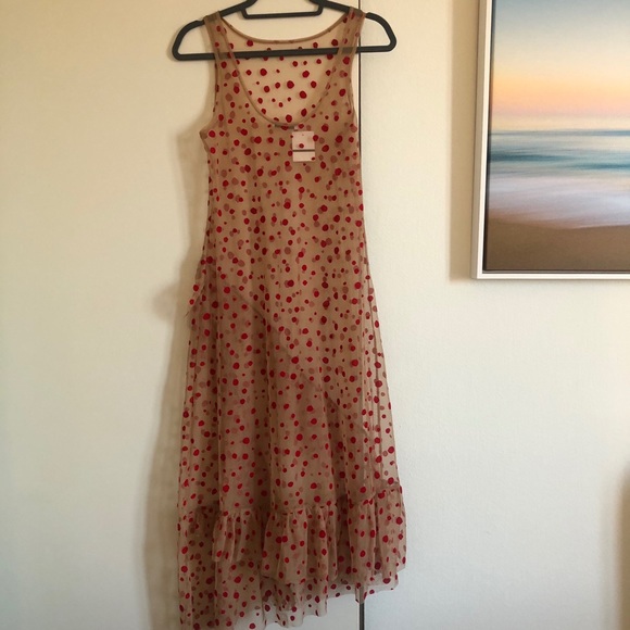 Blogger Fav Zara Sheer Red Dot Dress! - Picture 16 of 16